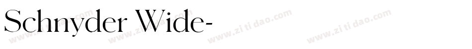 Schnyder Wide字体转换